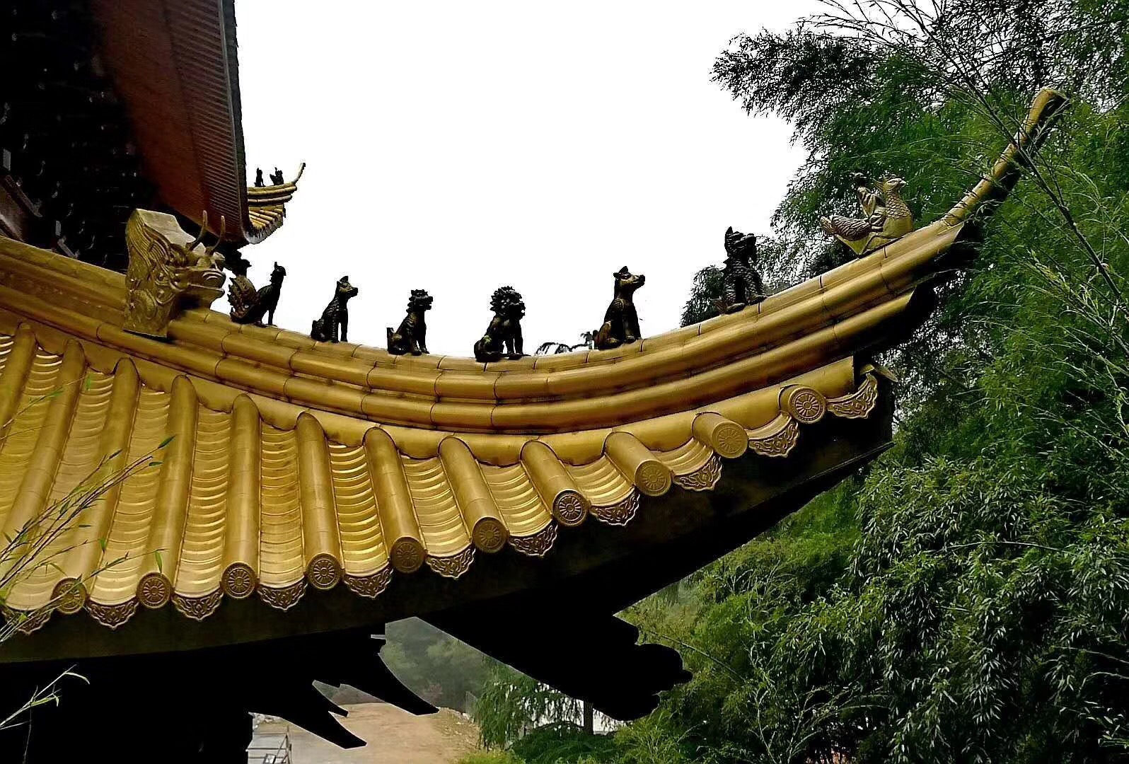 1637809438769390.jpg 1637809438769390.jpg